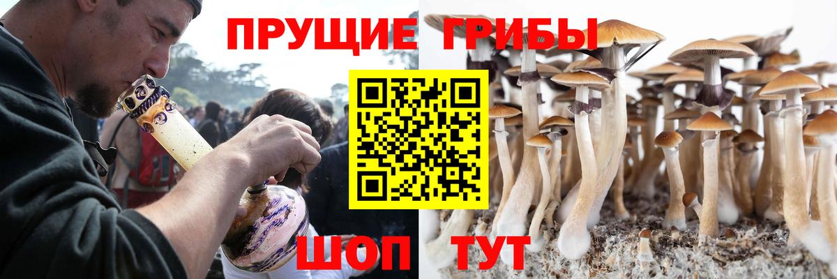 Псилоцибиновые грибы Magic Shrooms  Галлюциногенные грибы мицелий  Вход с VPN  Химки 